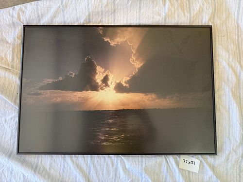 Lot #41 (1 of 5)