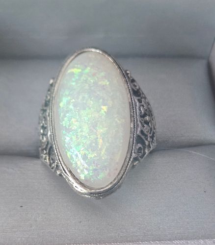 Lot #40 (1 of 2)