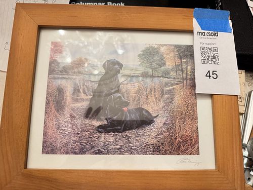 Lot #45 (1 of 4)