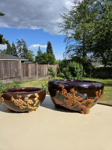 Lot #35 (1 of 18)