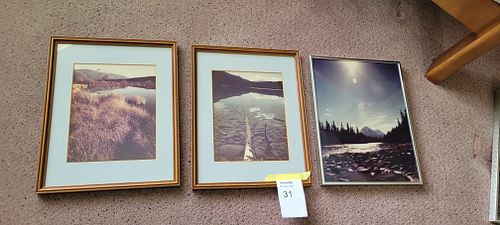 Lot #31 (1 of 5)