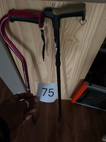 Lot #75 (1 of 3)