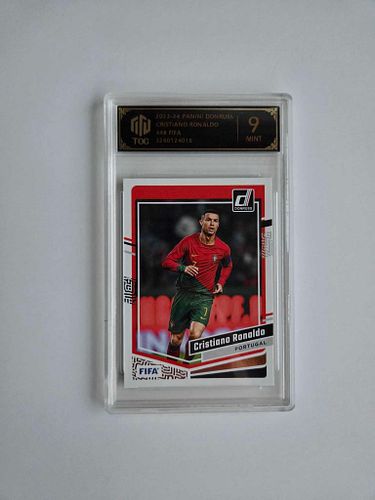 Lot #213 (1 of 2)