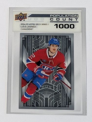 Lot #13 (1 of 12)