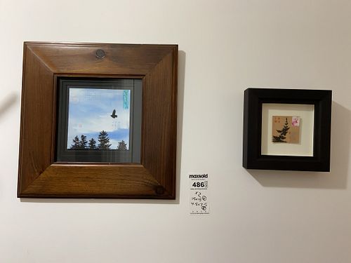 Lot #486 (1 of 13)