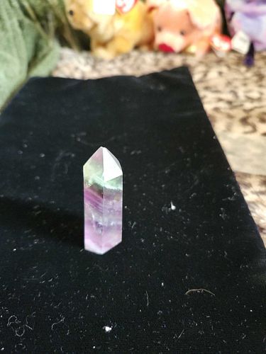 Lot #21 (1 of 6)