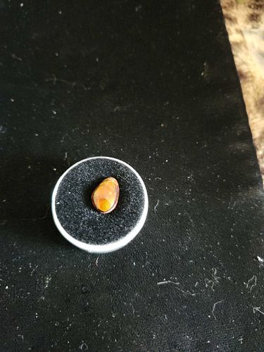 Lot #29 (1 of 6)
