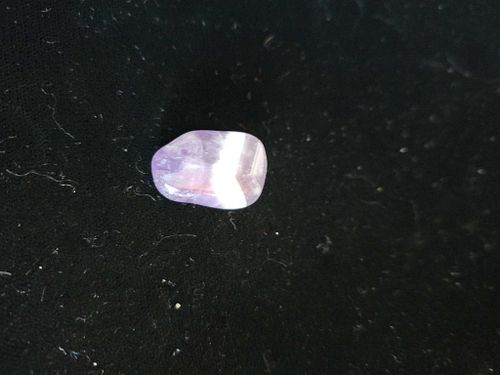 Lot #55 (1 of 5)