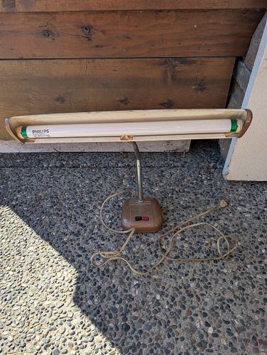 Lot #29 (1 of 4)