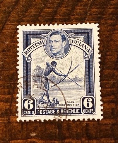 Lot #20 (1 of 3)
