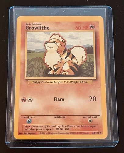 Lot #228 (1 of 3)