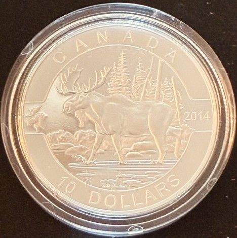 Lot #296 (1 of 3)