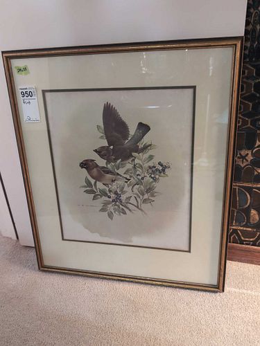 Lot #950 (1 of 10)