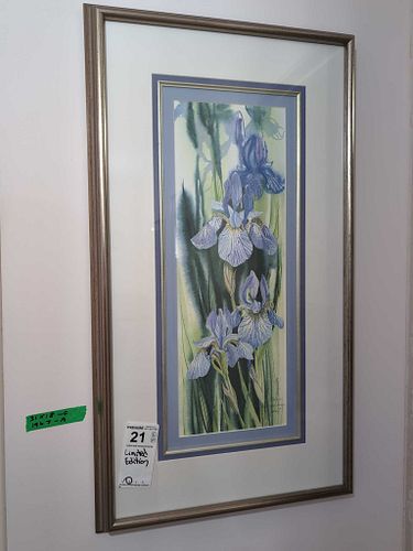Lot #21 (1 of 6)
