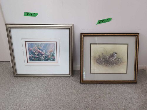 Lot #22 (1 of 11)