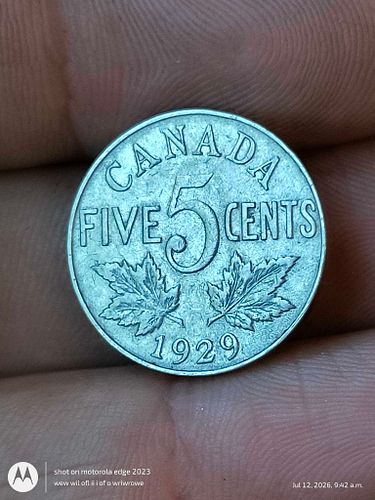Lot #51 (1 of 4)