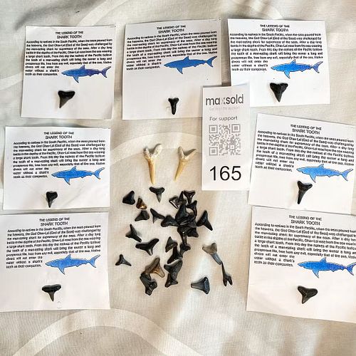 Lot #165 (1 of 4)