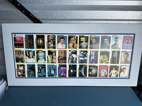 Lot #51 (1 of 13)