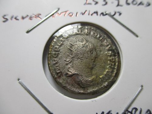 Lot #148 (1 of 3)