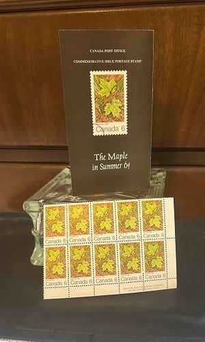 Lot #103 (1 of 5)
