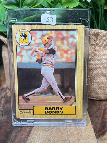 Lot #30 (1 of 3)