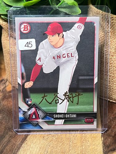 Lot #45 (1 of 3)