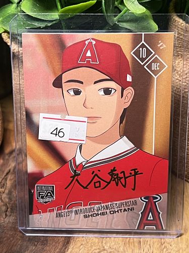 Lot #46 (1 of 3)