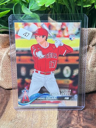 Lot #47 (1 of 3)