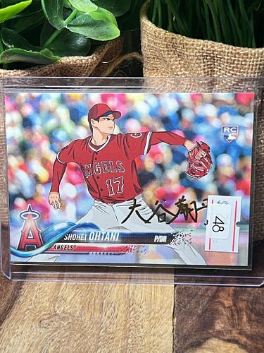 Lot #48 (1 of 4)