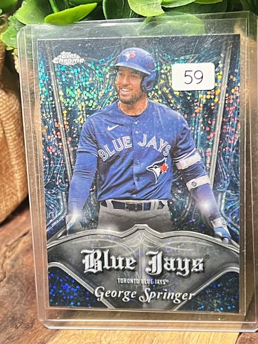 Lot #59 (1 of 3)