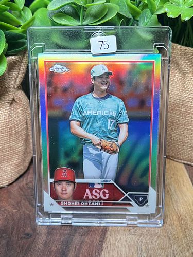 Lot #75 (1 of 3)