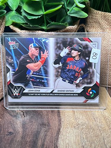 Lot #80 (1 of 4)