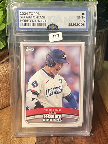 Lot #117 (1 of 3)