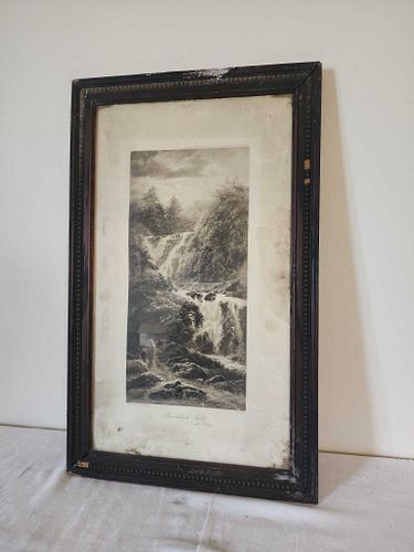 Lot #50 (1 of 3)