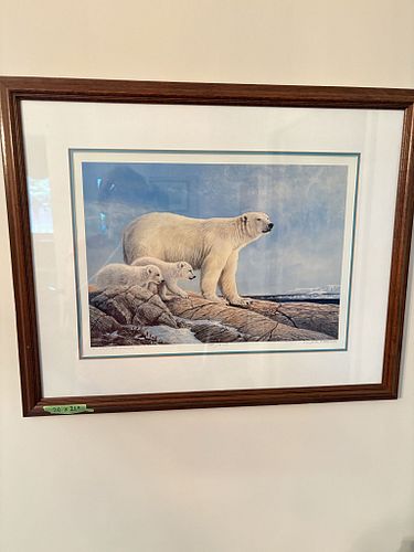 Lot #46 (1 of 5)