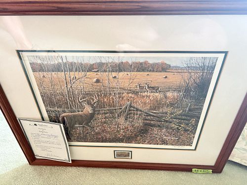 Lot #65 (1 of 5)
