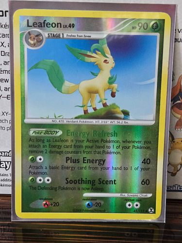 Lot #46 (1 of 4)