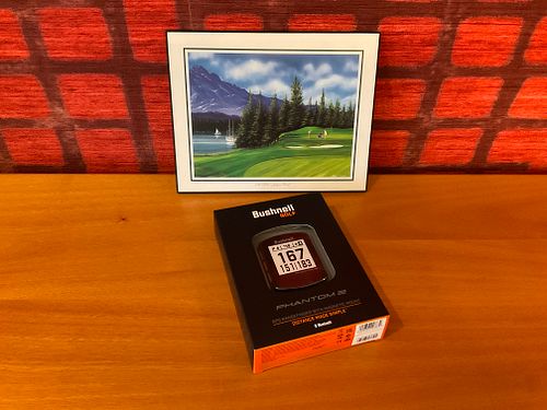 Lot #16 (1 of 8)