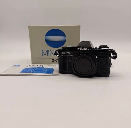 Lot #11 (1 of 9)