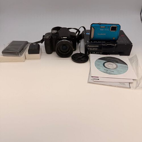 Lot #32 (1 of 12)