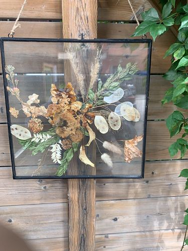 Lot #52 (1 of 6)