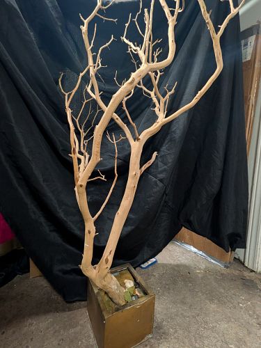 Lot #44 (1 of 3)