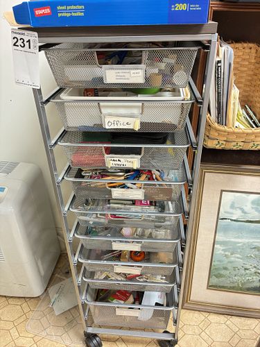 Lot #231 (1 of 12)