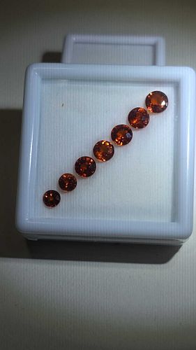 Lot #21 (1 of 18)