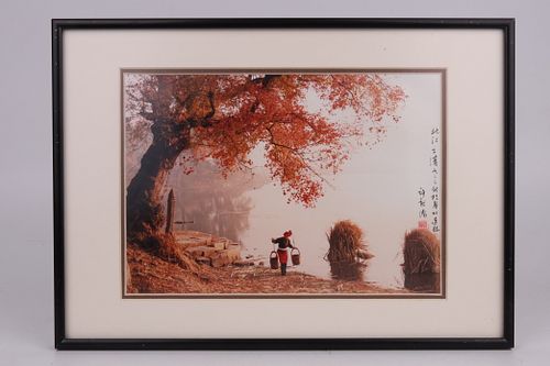 Lot #60 (1 of 5)