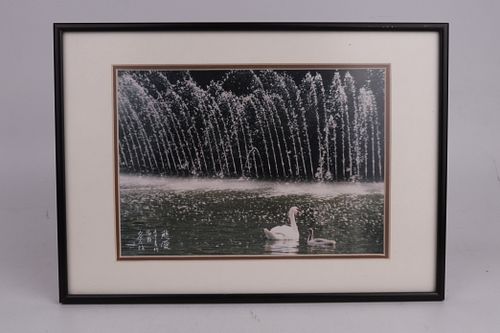 Lot #61 (1 of 5)