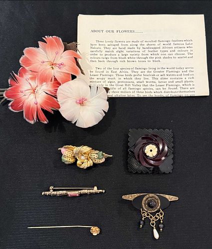 Lot #501 (1 of 19)