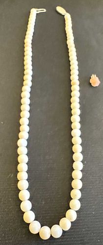 Lot #503 (1 of 16)