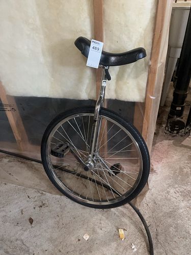 Lot #489 (1 of 8)