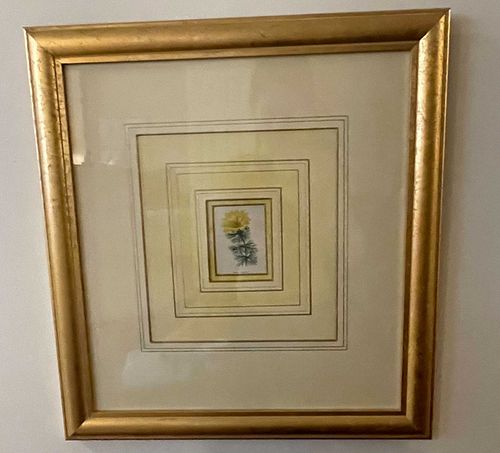 Lot #18 (1 of 3)